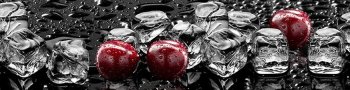 Фартук ПВХ Лед и вишня 300х60 см